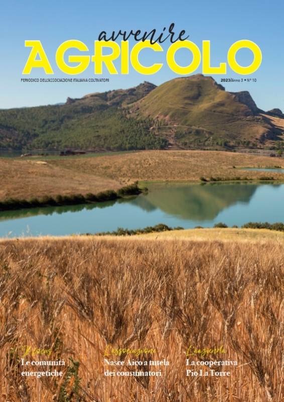 campo di grano, lago, montagne, paesaggio, Sicilia